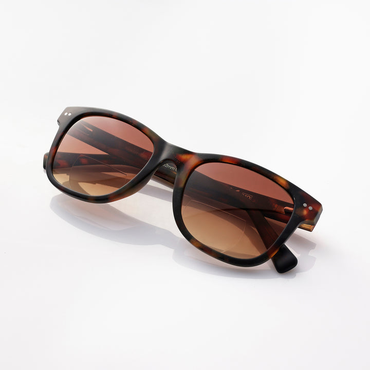 Amsterdam Matte autumn tortoise