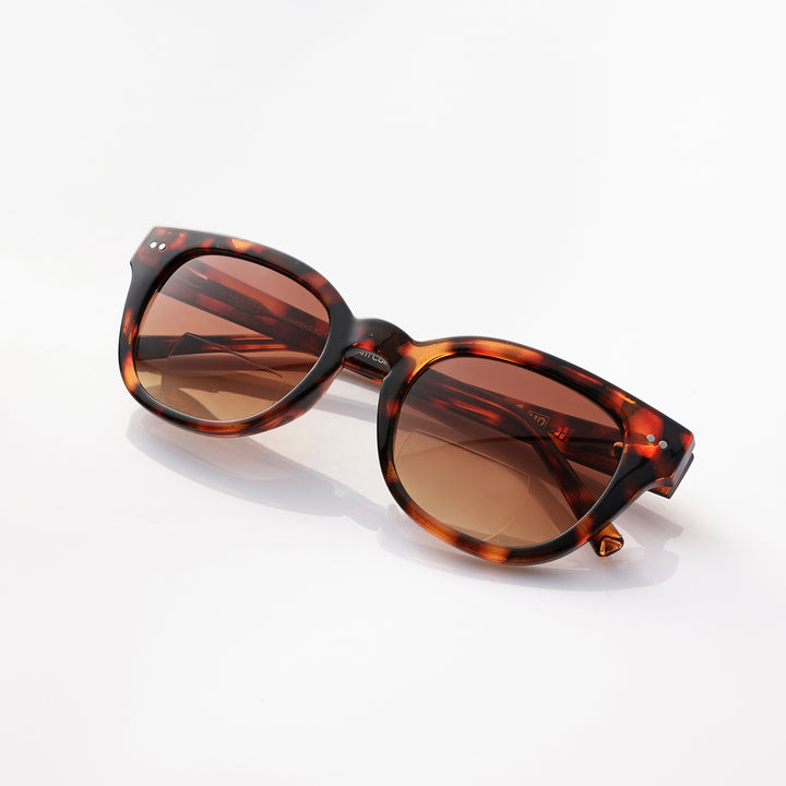 Hollywood Shiny tortoise brown