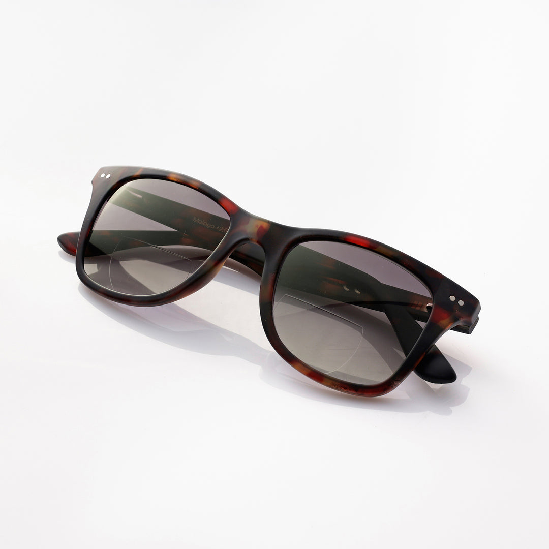 Malaga Matte tortoise autumn